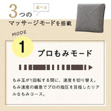 ルルド マッサージクッション プロ AX-HCL1480