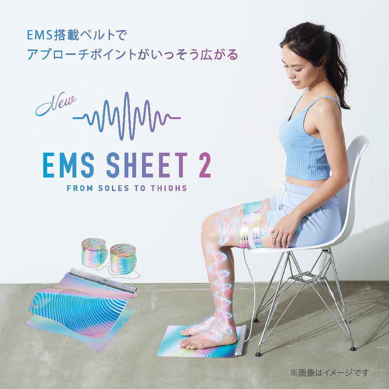 EMSシート