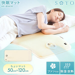 ちょいマット SOYO AX-BS630