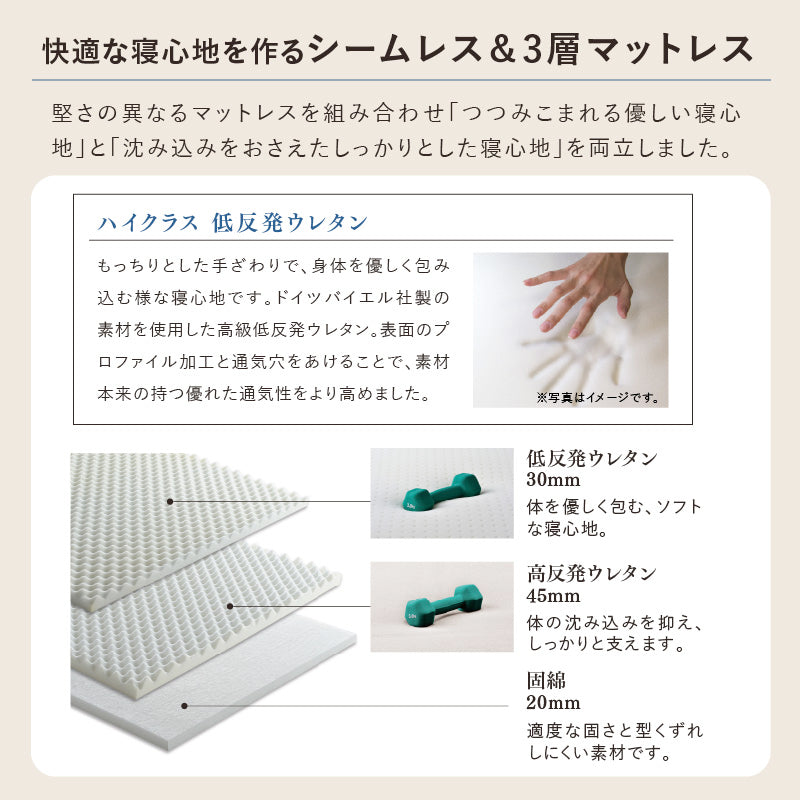 収納式 プレミアムベッド 電動WFリクライニング（2モーター） AX-BE735