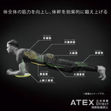 ルルドスタイル バランスボード AX-KXL5800