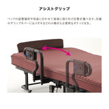 【アウトレット】【日本製】くつろぐベッド 収納式 AX-BE836R