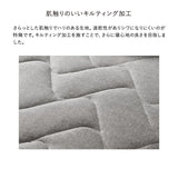 【日本製】家庭用電位治療器イオネス プレミアム AX-BIA605<br>〈愛称：イオネス リカバリー〉