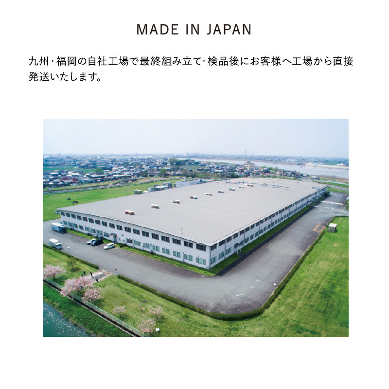 日本製】家庭用電位治療器イオネス プレミアム AX-BIA605〈愛称