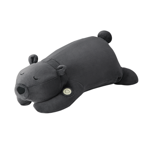 ax-bt807-09_580x.png?v=1679042183