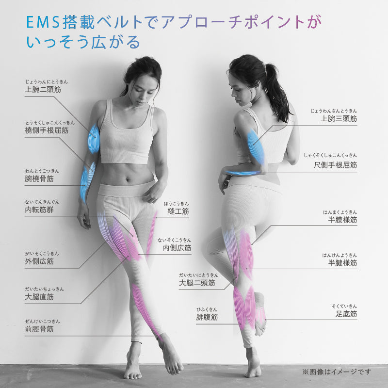 ルルドスタイル EMSシート2 AX-FRL909 – アテックスダイレクト